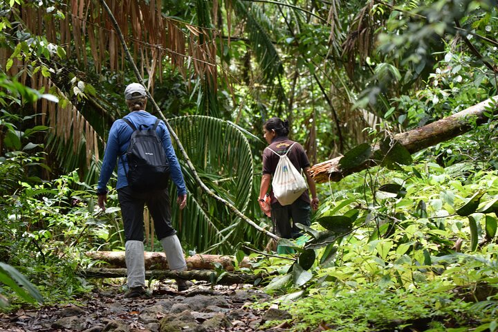 Sinharaja Rain Forest Tour from Hambantota - Photo 1 of 11